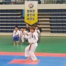 경희대 대성 태권도장 이미지