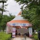 꽃레나 | 2026 가평 자라섬 꽃 페스타 축제 후기 입장료 주차 남이섬 순환선 가격