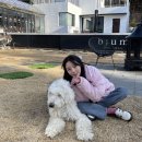 닥터케이신발