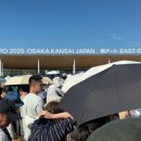 희망의 꽃 | 일본여행 오사카여행 오사카 간사이 엑스포 만국박람회 방문후기 방문3일차 파빌리온 구경