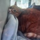 산들동물병원 이미지