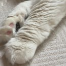 정남약국 이미지