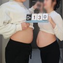 임부복 출산준비 피터래빗 | 공블비 임부복 쇼핑몰 추천 ㅣ 극가성비 임산부 하객룩부터 데일리룩까지