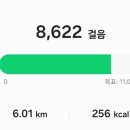 D-17 이미지