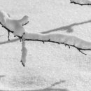 일기로 배우는 역사 이미지