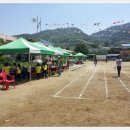 관기초등학교 이미지