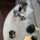 영춘식탁 이미지