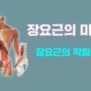 [ 마름모코어 시즌 2-28 ] 장요근은 왜 사선일까? / 장요근과 서로 저항하는 짝힘과 기능 이미지