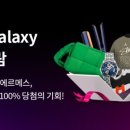 갤럭시펫 애견미용 이미지