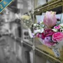 금련산역 4번출구 좋은강안병원 앞 이미지