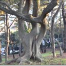 삼무공원 이미지