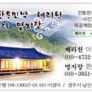 스테이사룡 이미지