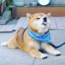 와인앤구르메 이미지