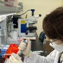 신장고등학교 이미지