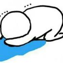 카페포르타