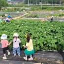 가족농장 이미지