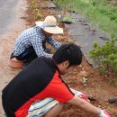 동내마을 이미지