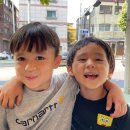 (주)스튜디오게일 스포츠경향