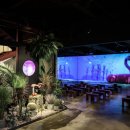 별보다카페 이미지