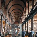 트리니티 작은도서관 이미지