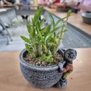 그림정원 이미지