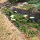 정량천 생태하천 이미지