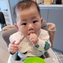 모모푸드 이미지