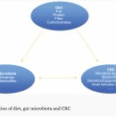 Re:87 The association of diet, gut microbiota and colorectal cancer: what we eat may imply what we get 이미지