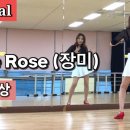 장미Rose Rose Tutorial Line dance 이미지