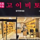 고이비토광주 - 동구 독립로264번길 4-1 | 고이비토 광주롯데점, 광주광역시 종합패션의 숨은 혜택