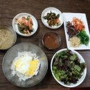 보리밥집 Daum카페