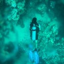 자유여행영어 이미지