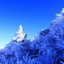 징검다리 이미지