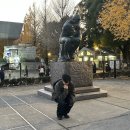 겟다운 게임기획 | 일본 도쿄 4박 5일 일정 여행코스 여행기록 1일차 (1/5)