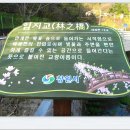진해문화센터(구민회관) Daum카페
