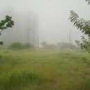 정있는집 이미지