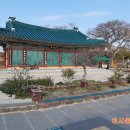 명가네힐링농장 Daum카페