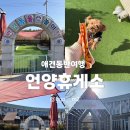 언양(서울)주유소 이미지