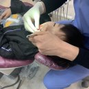 매곡가족치과 네이버블로그