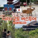 투어나라 - 김포시 태장로 765 | 오사카 근교 당일치기 여행코스 추천 나라·교토 버스투어 내돈내산 후기
