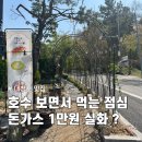 대청호수로 | 대청호 맛집 마로니에, 가성비 좋은 점심특선 돈가스 후기