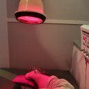 유월한의원 이미지