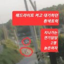 보성군청 이미지