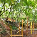 노원골유아숲 이미지