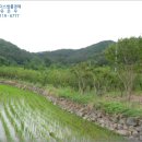 구산면517 이미지