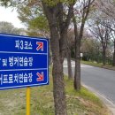 신안골프 이미지