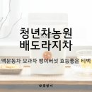 365자연을담다 | 자연의 깊은 숨결을 담다, 청년차농원(청년농원) 맥문동·모과·배도라지차 티백 혜택 정리