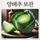 썬냉동 이미지
