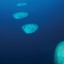 포시즌 당구클럽 이미지