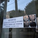 모스테틱남양주점 | 두피관리센터 성신여대 두피관리 두피생장술 전문점 모스테틱